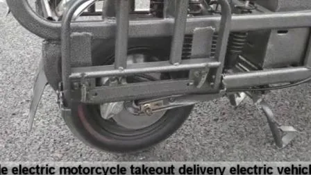 Fabrik für Elektro-Motorrad-Lastkraftwagen mit zwei Rädern und Elektrofahrzeugen